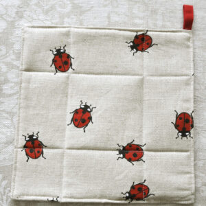 Lepatriinudega pajalapp