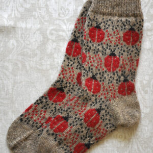 Lepatriinudega sokid