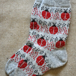 Lepatriinudega sokid