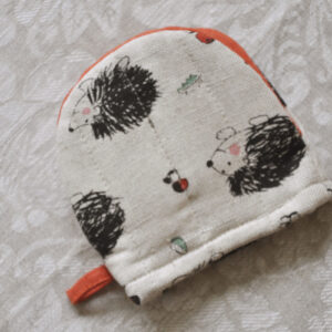 Siilidega pajakinnas