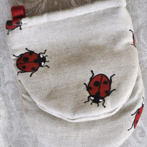 Lepatriinudega pajakinnas