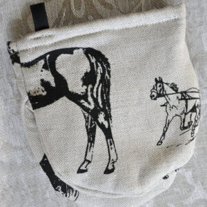 Hobustega pajakinnas