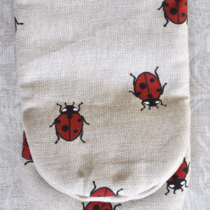 Lepatriinudega pajakinnas