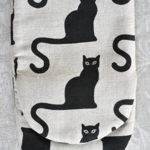 Kassidega pajakinnas