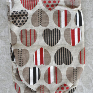 Südametega pajakinnas