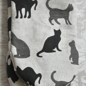 Kassidega pajakinnas