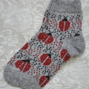 Lepatriinudega sokid