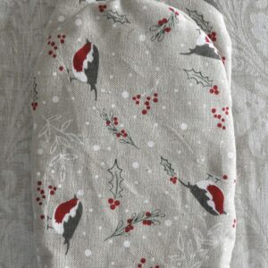 Leevikestega pajakinnas