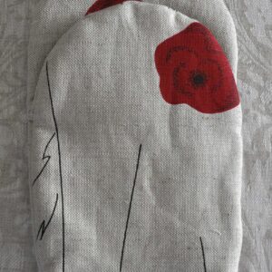 Moonidega pajakinnas