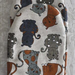 Kassidega pajakinnas