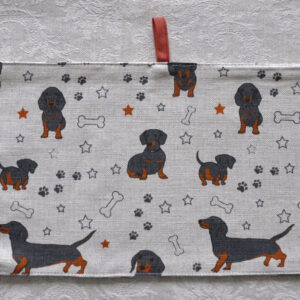 Taksidega pikk pajalapp