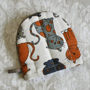 Kassidega pajakinnas