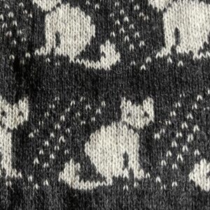 Kassidega säärised